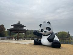 -苏州太湖国家湿地公园