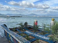 -三亚西岛海洋文化旅游区