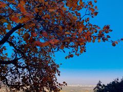 -北京西山国家森林公园