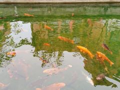 -杭州电子科技大学(下沙校区)