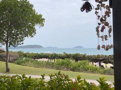 -渔家火锅·海鲜自助餐·演艺(亚龙湾天域酒店)