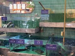 -鱼你相聚·河鲜馆(袁家岭店)