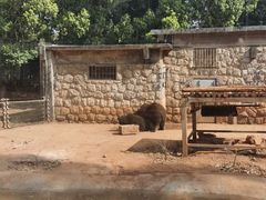 -昆明动物园