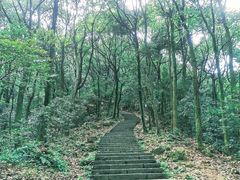 -西湖风景区十里琅珰-五云山