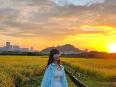 -光明小镇欢乐田园