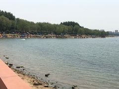 -丁香湖公园
