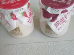 -莫愁村问君老酸奶