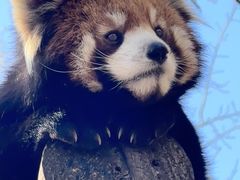 -无锡动物园·太湖欢乐园