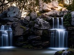 -东莞植物园