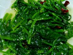 -马帮菜馆·美味野生菌