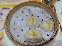 -小杨生煎(深圳岗厦北店)