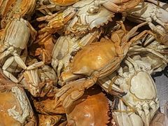 -雅典皇宫洗浴健身俱乐部(东岳大街店)