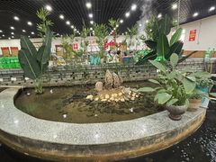 -夏家大锅台炖鱼馆
