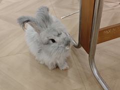 -观音桥步行街