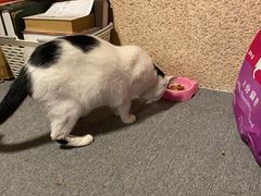 -CLUE演绎实景剧本杀(江南西店)