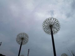 -东极岛景区-东海第一哨灯塔