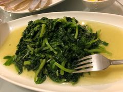 清炒豆苗-上海老站(徐家汇店)