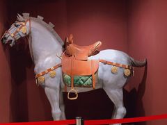 -西安大唐西市博物馆