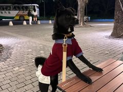 -立德24H动物医院·夜诊·转诊中心·1.5T核磁共振(海珠店)