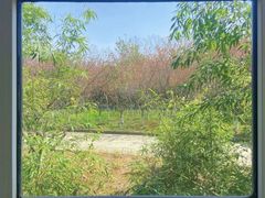 -南京晓庄学院(莫愁校区)