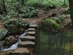 -波尔登森林公园