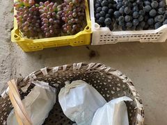 -马陆小张葡萄园农家乐