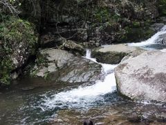 -东天目山风景区