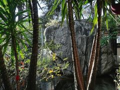 -瑞丰园庭院餐厅·白族传统家常菜