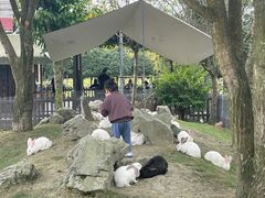 -洪湖家庭农场·团建·露营·会议