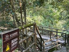 -东天目山风景区