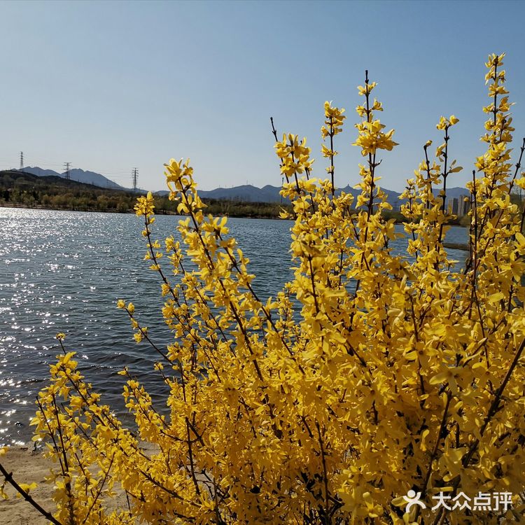 巍峨古朴的永定塔如诗如画，桃花也更凸显文艺气息