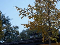 -西园戒幢律寺