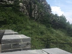 -牛背梁国家森林公园