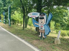 -南京老山国家森林公园