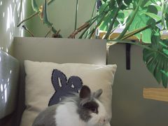 -小意思咖啡店(草桥店)