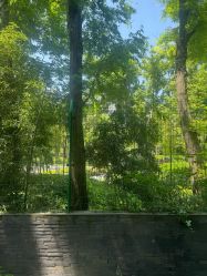 点击看大图 -馨月汇·一悦馨香月子中心(前滩店)