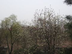 -西安曲江寒窑遗址公园