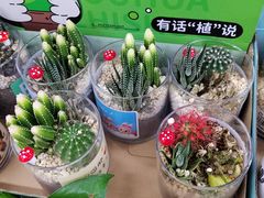 -大润发(康桥店)