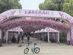 -南汇桃花村