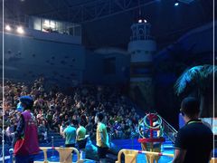 -烟台海昌鲸鲨海洋公园