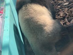 -辛玛王国游乐园