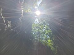 -牛背梁国家森林公园