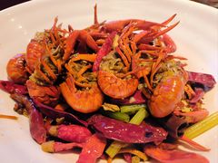 -龙巢盱眙龙虾·牛蛙·烧烤宵夜(八卦岭店)