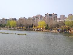 -前关湿地公园