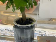 -三叶眼镜城(凯迪金融大厦店)