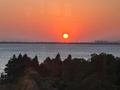 -苏州苏州湾艾美酒店-新食谱全日制餐厅