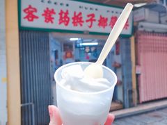 -洪馨椰子