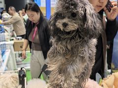 -重庆国际会议展览中心