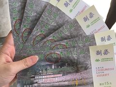 -共青国家森林公园-南大门停车场