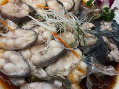 -刘胖子家常菜·蹄花焖藕(兴业店)